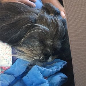 Meet your Posher, Angela